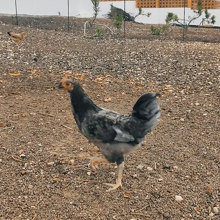 Fuerteventura Casa Tikuna *